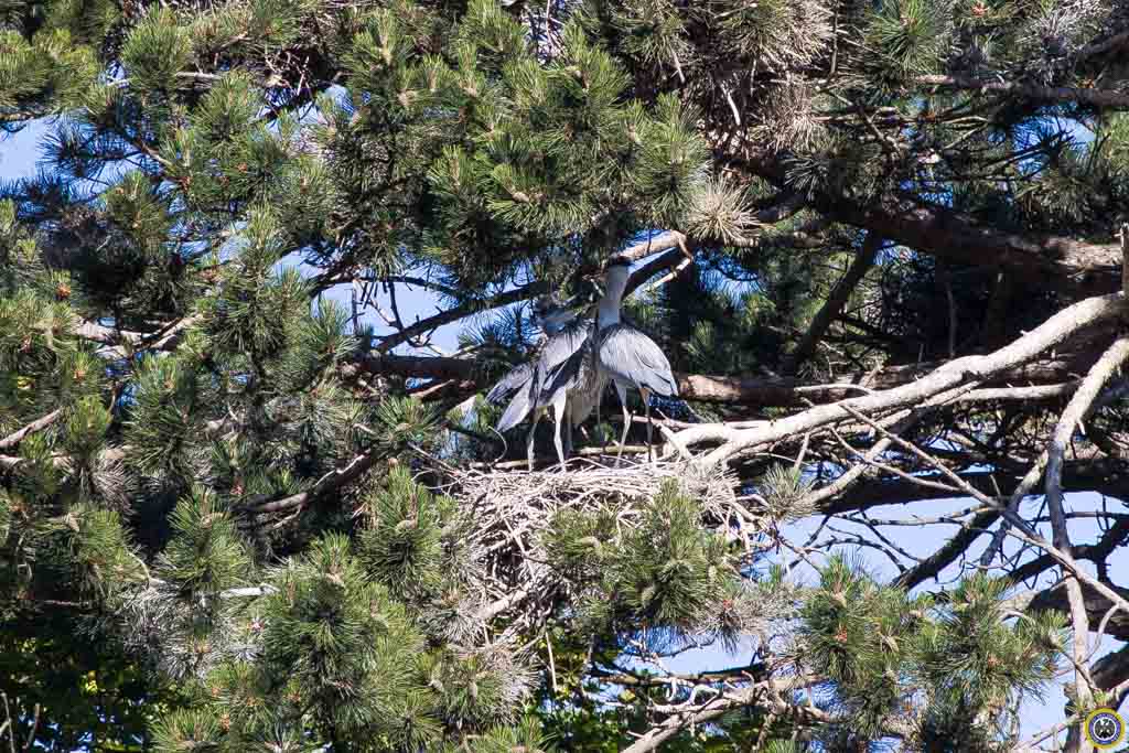 Schloss Heeren Freimaurerloge Phoenix zu den Drei Lichtern 5938